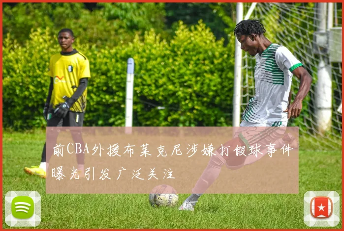 前CBA外援布莱克尼涉嫌打假球事件曝光引发广泛关注