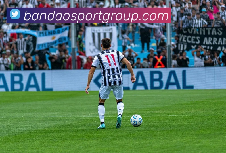 半岛足球体育平台生态图